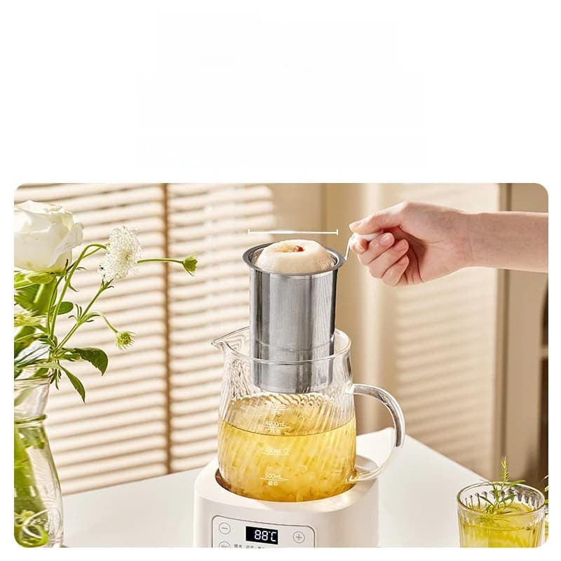 Pentola elettrica in vetro per salute con controllo della temperatura 1.2L