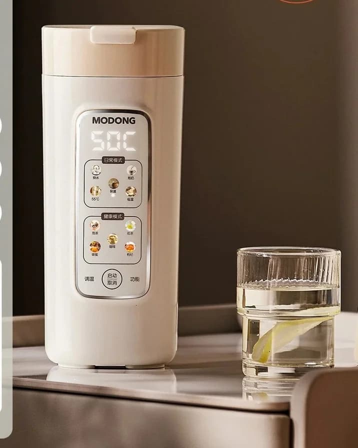 Tazza Elettrica Portatile per Riscaldare l'Acqua con Filtro, 220V