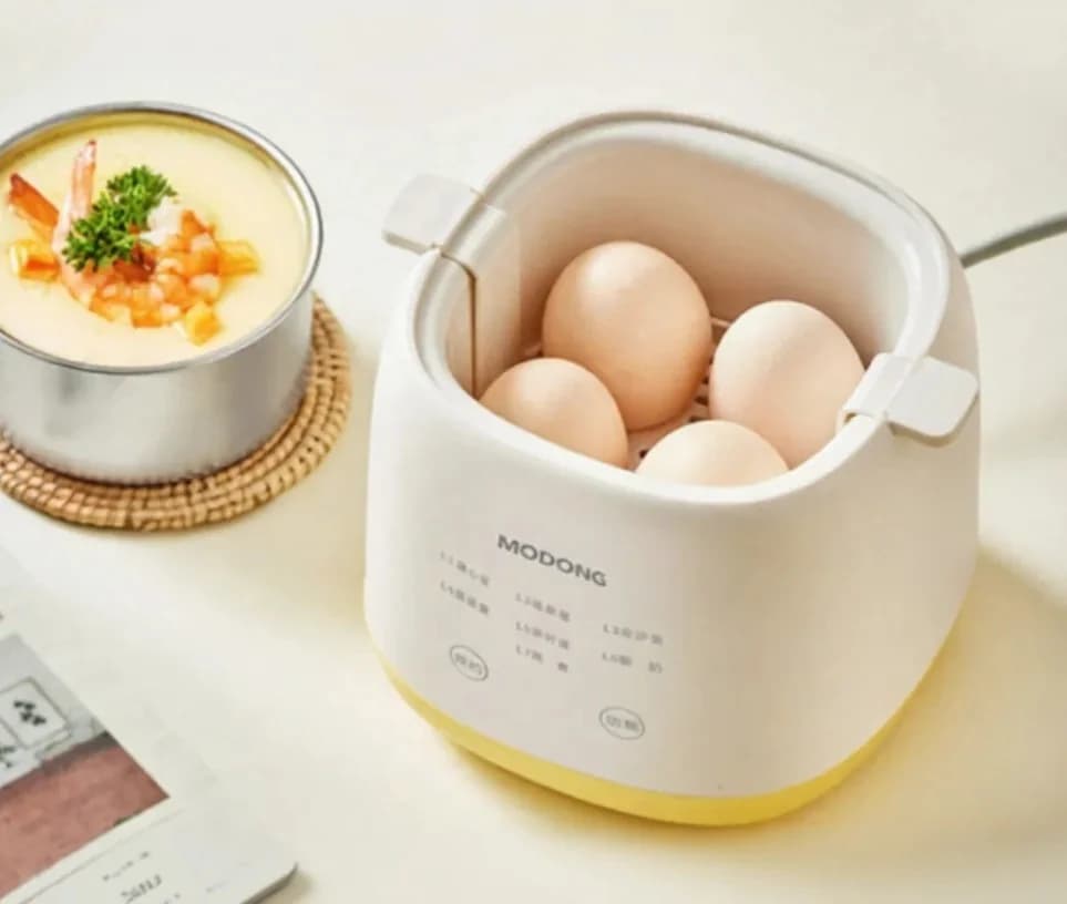 Bollitore elettrico per uova 4-6 uova con ciotola per budino di uova