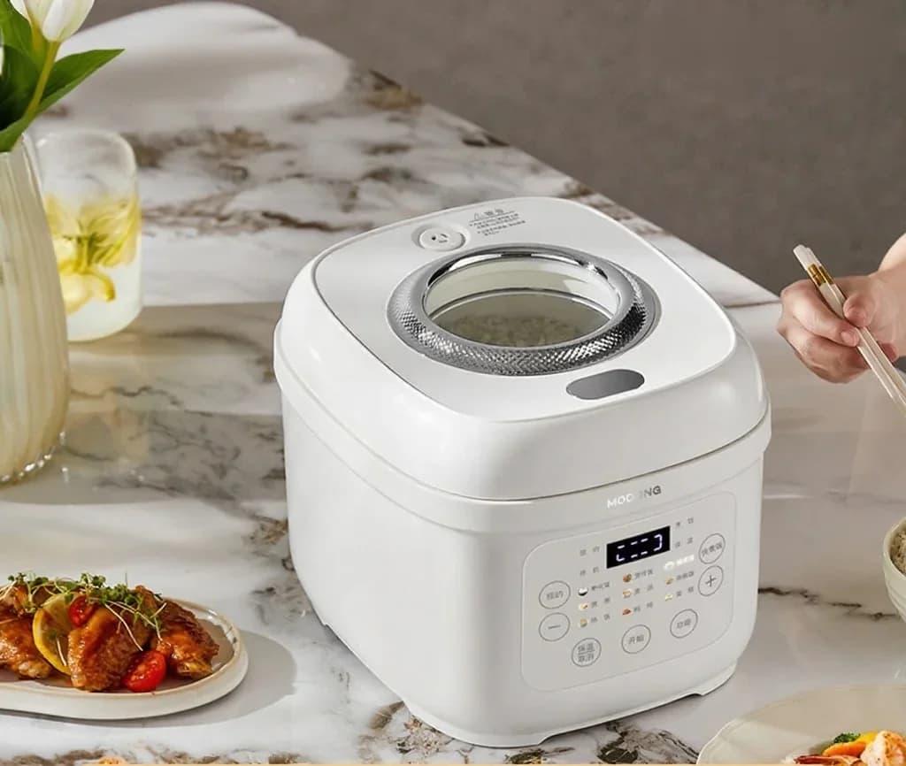 Cuociriso elettrico da 3L con pentola interna in ceramica, 600W