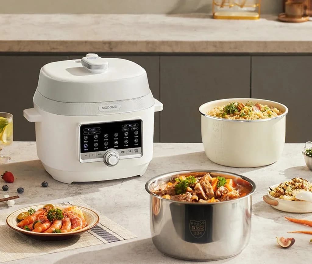 Pentola a Pressione Elettrica 5L con Doppia Pentola Interna, 900W