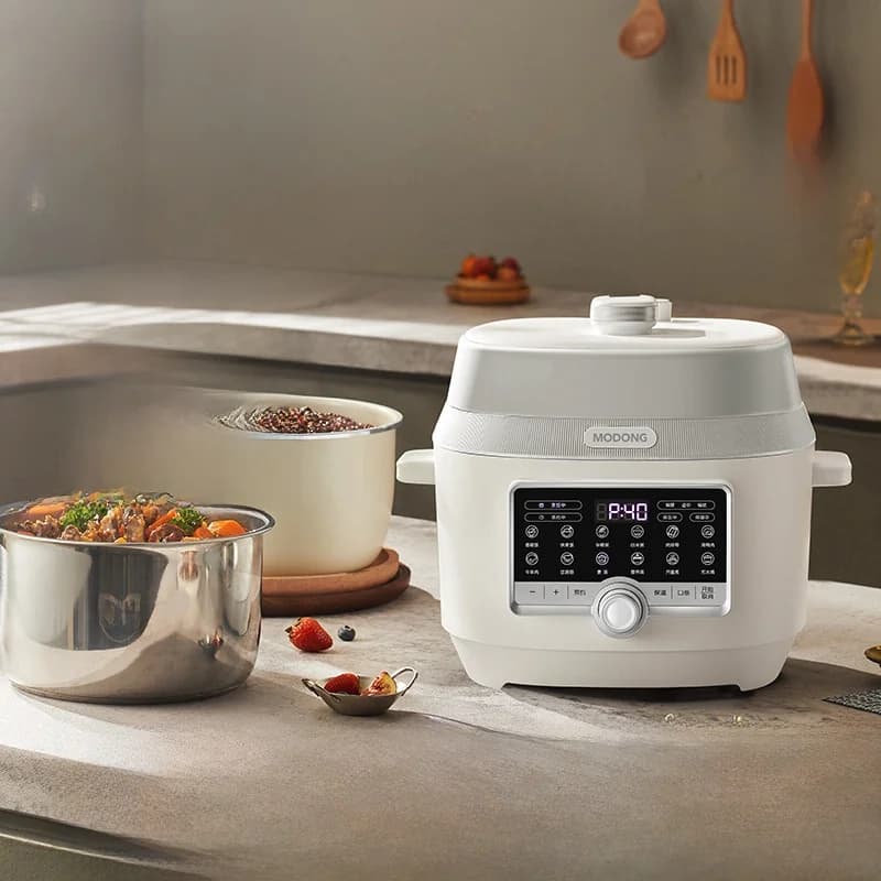 Pentola a Pressione Elettrica 5L con Doppia Pentola Interna, 900W