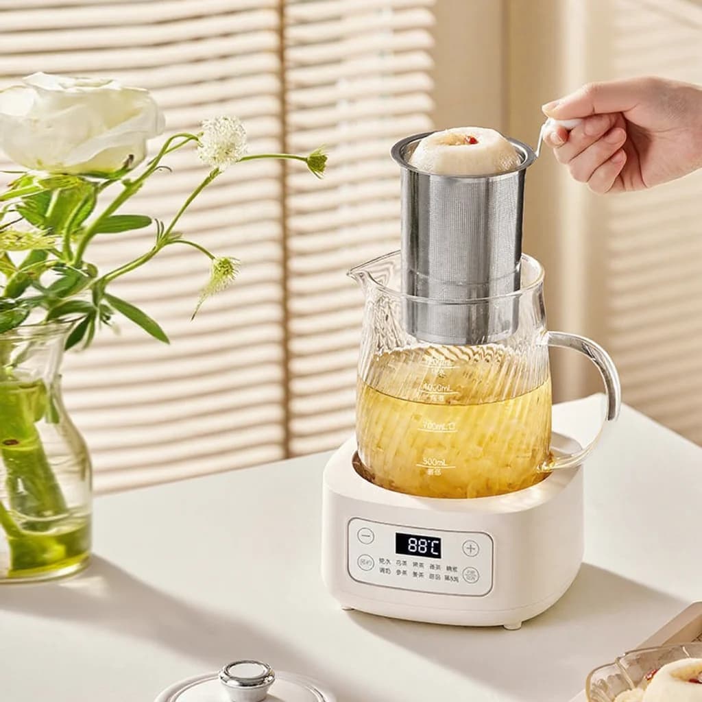 Pentola elettrica in vetro per salute con controllo della temperatura 1.2L