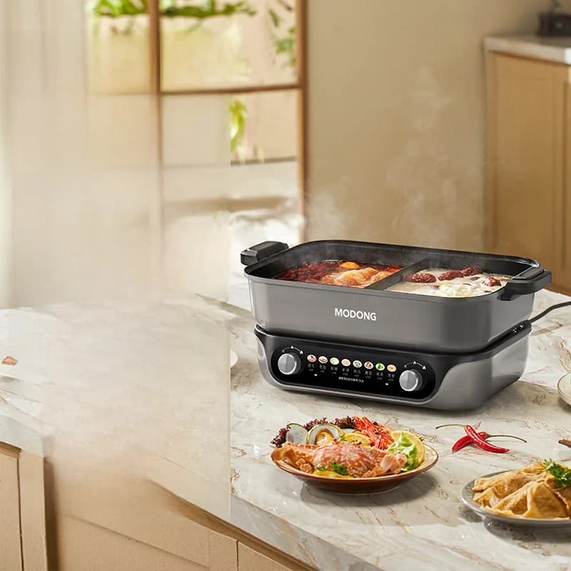 Fonduta Elettrica Divisa con Rivestimento Antiaderente, Capacità 8L