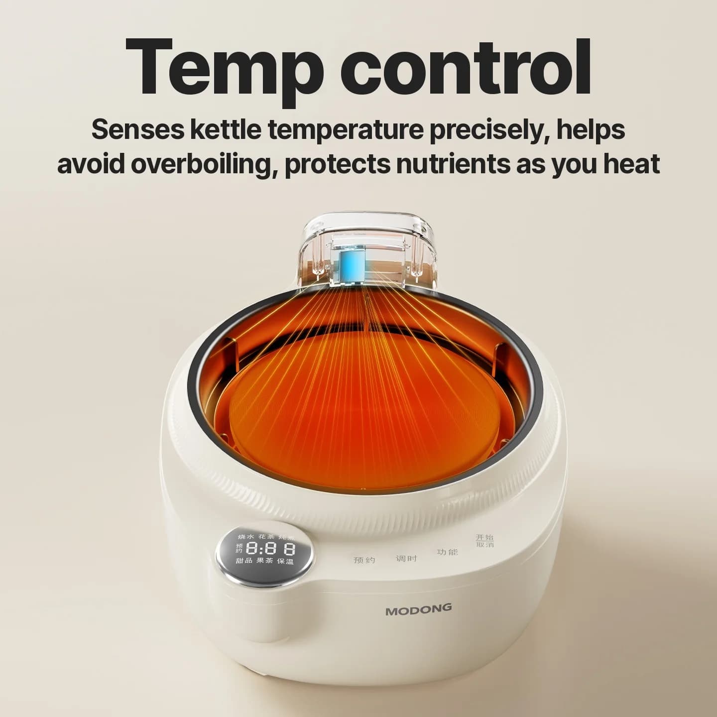 Bollitore Elettrico in Vetro con Controllo Temperatura, 1L