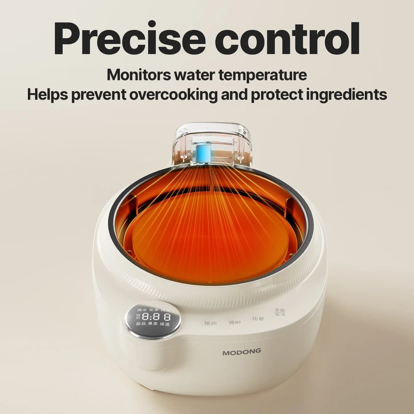 Bollitore elettrico in vetro con controllo della temperatura, 1L