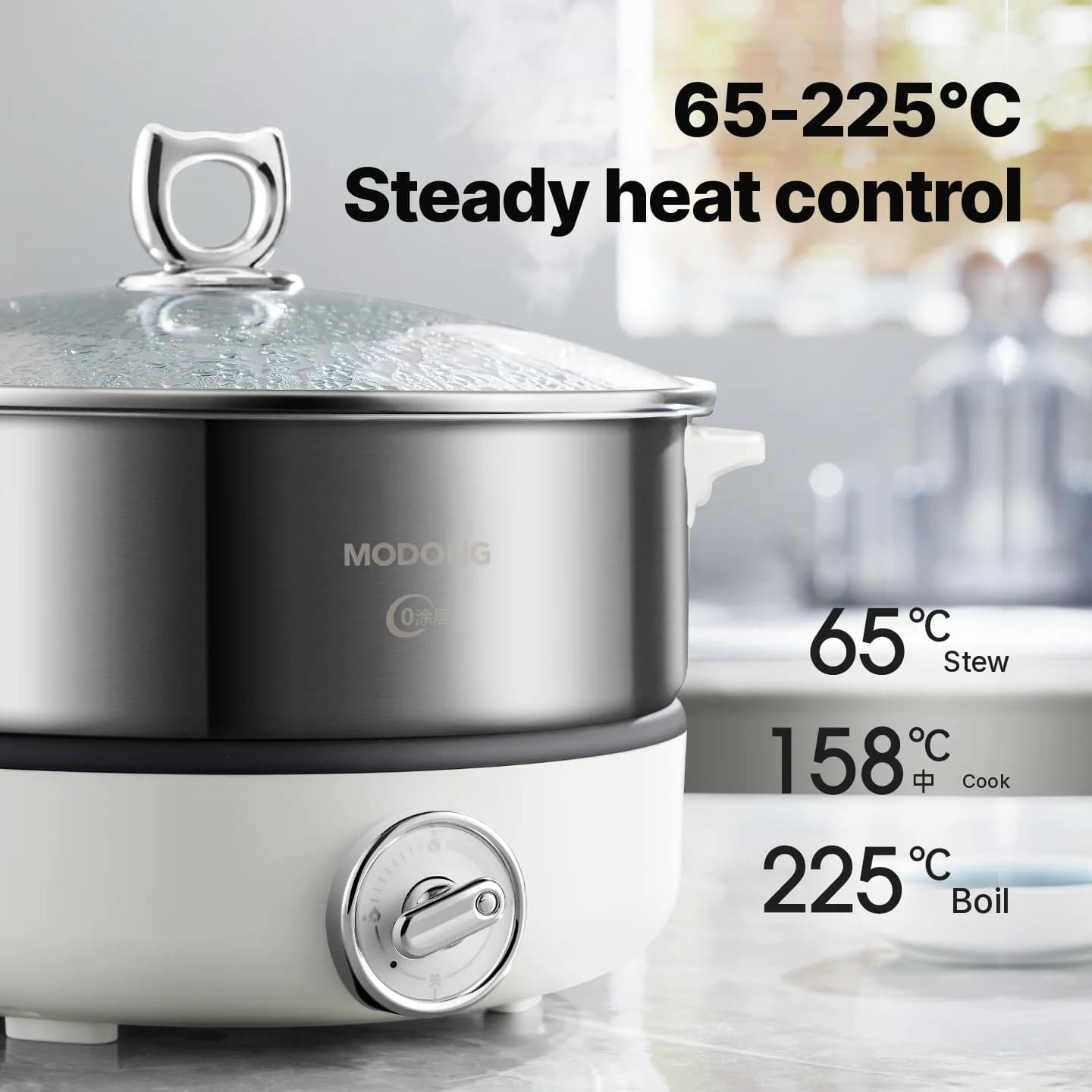 Pentola elettrica divisa con rivestimento interno in acciaio inox 1500W