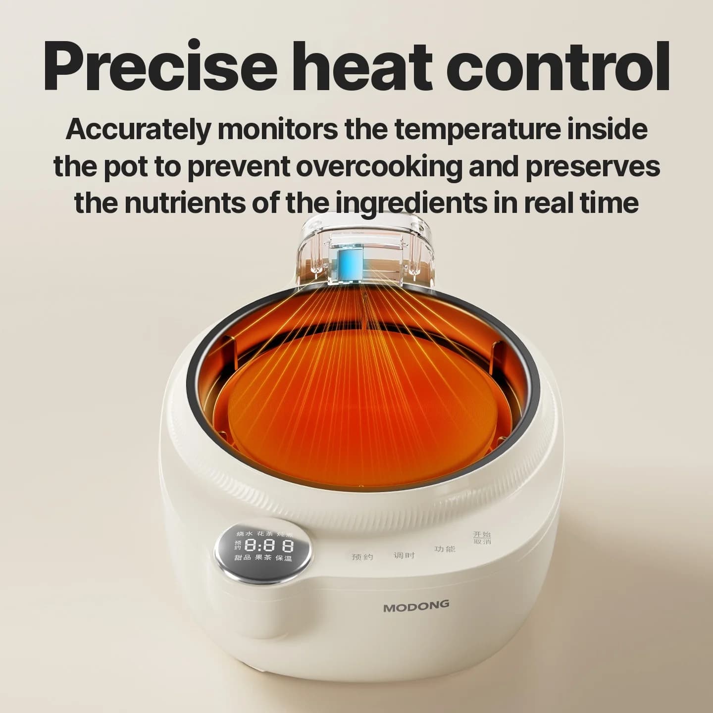 Bollitore in Vetro Elettrico con Controllo Temperatura e Vaporiera per Tè